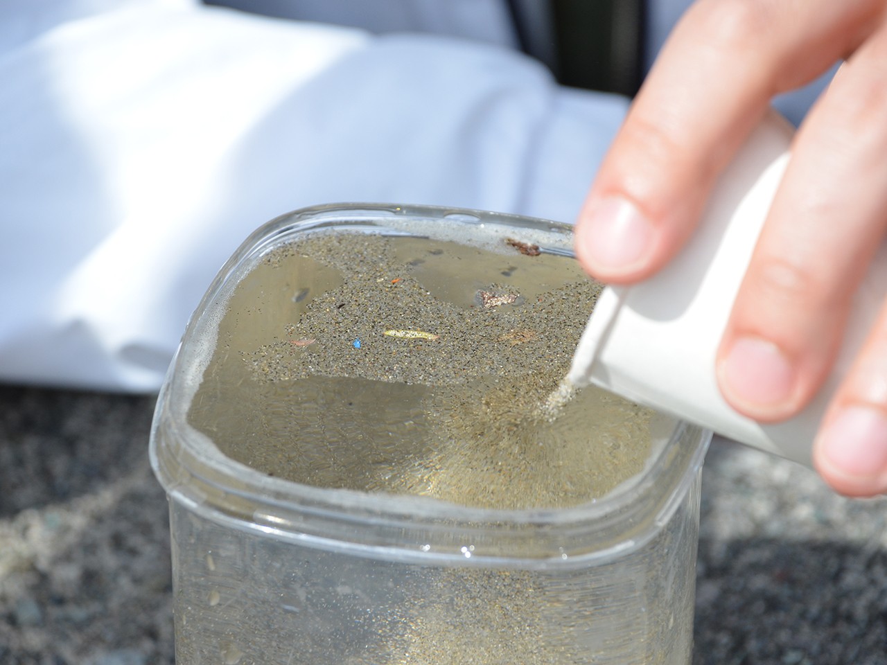SDGs研修プログラム「海の豊かさを守ろう:海洋プラスチックゴミ問題を知る」
