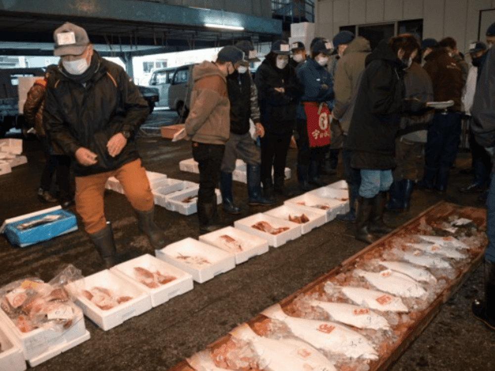 「熱海魚市場」でのセリ見学とあら汁のご賞味体験