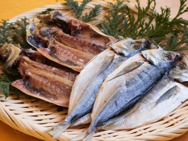 熱海×干物堪能体験のご紹介